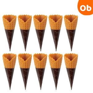 ACXN[R[10g@25×70mm@NX}X