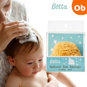 �x�b�^ �t�@�C���V���N�C�ȁ@�x�r�[�@�V�R�f�ށ@�����C�@�X�|���W�@Betta�y���������@����E�ꕔ�n��������z�@�N���X�}�X