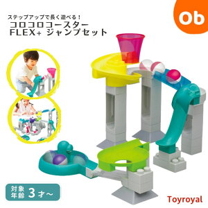 gC[ RRR[X^[ FLEX+WvZbgy Eꕔnz mߋ  ubN