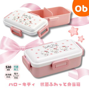 スケーター 抗菌 ふわっと弁当箱 ランチボックス530ml ハローキティ 水彩コスメ【送料無料 沖縄・一部地域を除く】  お弁当箱 プラスチック 蓋 男の子 女の子 キャラ弁 デコ弁   幼稚