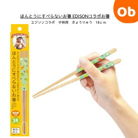 【2/10　最大100％ポイントバック】ほんとうにすべらないお箸 　こども用　きょうりゅう　18cm　EDISONコラボお箸　【ネコポス送料無料】HED-001　エジソンコラボ　子供用　クリスマス
