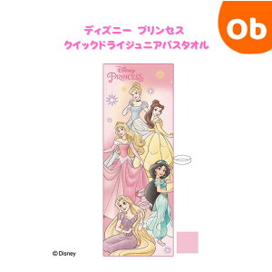 �f�B�Y�j�[ �v�����Z�X �`���[�~���O�X�g�[���[ �N�C�b�N�h���C�W���j�A�o�X�^�I���@40×110cm�@��100%�@�y�l�R�|�X���������z�@�N���X�}�X�N���X�}�X