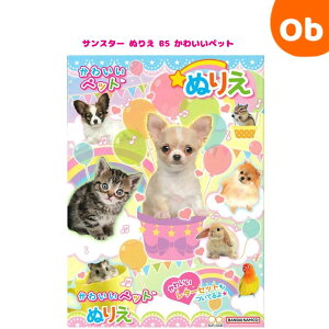 TX^[ ʂ肦 B5 킢ybg sunstar  LbY hG FM ǂ ylR|Xz