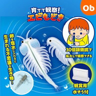 アーテック 育てて観察！エビもどき 観察 育成 研究 実験セット 理科 科学 科学工作 工作　クリスマス