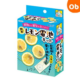 【マラソン期間中　エントリーで最大ポイント19倍】アーテック 簡単！レモン電池キット 58509 工作 実験