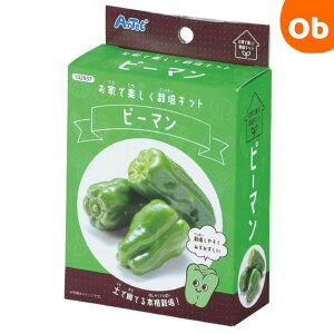 y11/20@20`@Xő|Cg21{@vGg[zƂŊy͔|Lbg@s[}