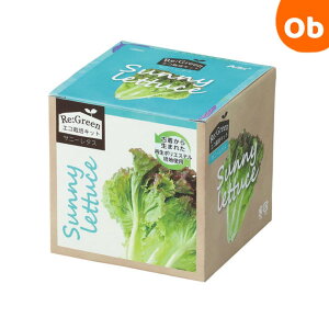 y11/20@20`@Xő|Cg21{@vGg[zA[ebN A[ebN GR͔|Lbg Re:Green Tj[^X