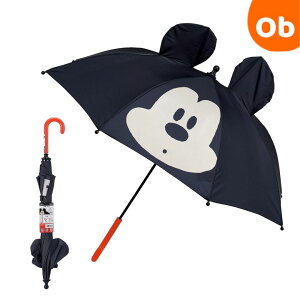 ǂP45cm@~bL[Ȃ肫 Skater@y@Eꕔnz@NX}XNX}X