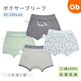 【2/10　最大100％ポイントバック】ボクサーブリーフ2枚組　綿100%　抗菌防臭　【ネコポス送料無料】　クリスマス