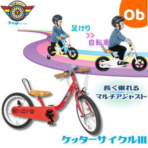 【10/24 20時〜 エントリーでさらに最大12倍】ケッターサイクルIII 16インチ ブルーミングレッド 子供用自転車【ラッピング不可商品】【送料無料 沖縄・一部地域を除く】
