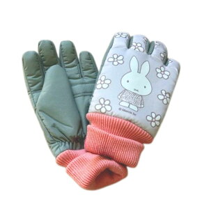 y12/4@20`@Xő|Cg21{@vGg[z~btB[ĂԂ@́@5w܁@~btB[@{XylR|Xz@NX}XNX}X