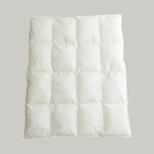 y11/20@20`@Xő|Cg21{@vGg[zyEHV킽zy_N킽z@ŊۂƐ􂦂xr[|ӂƂ xr[TCY 95×120cm@NX}X