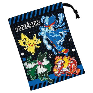 {@LN^[Rbv܁@100@TCY148×c205mm@ylR|XzuVRbv܁@SKATER XP[^[@В܁@ ʗp LbY 100%@NX}X