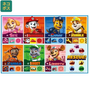 W[V[g@900×600mm@LN^[ylR|XzSKATER XP[^[@lp RpNg 񂻂 Ro oR sNjbN hAEghA ܂肽 TCY Lv RpN