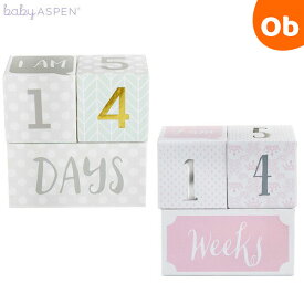 【1/20　最大100％ポイントバック】ベビーアスペン マイルストーン　エイジブロック　BABY ASPEN【ベビーシャワー　出産祝い　ベビーギフト　赤ちゃん成長記録】【送料無料　沖縄・一部地域を除く】　クリスマス
