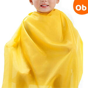 wAJbgpP[v BA-113 O[x iUP[v qǂ q LbYjy䂤pPbgz