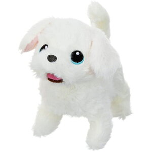 C gDCNACYps[y@Eꕔnz