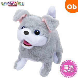 y12/4@20`@Xő|Cg21{@vGg[zC gDCNACYps[ eAy@Eꕔnz@NX}XNX}X