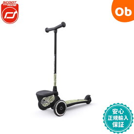 【在庫処分】スクート＆ライド ハイウェイキック2 グリーンライン【送料無料　沖縄・一部地域を除く】　クリスマス