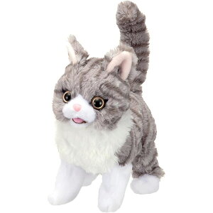 y12/4@20`@Xő|Cg21{@vGg[zC Ń~B~By@Eꕔnz@NX}XNX}X