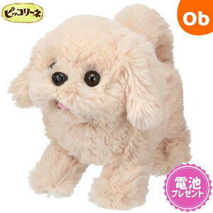 y11/20@20`@Xő|Cg21{@vGg[zC sbR[l go[yʂ  񂿂 d  ybgzy@Eꕔnz@NX}