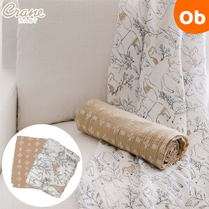 CranebabyiN[xr[j Xhbv2Zbg GY  P[v uPbg oYj Rgr[gy@Eꕔnz