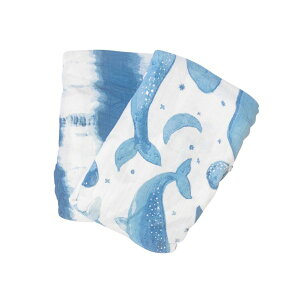 CranebabyiN[xr[j Xhbv2Zbg  P[v uPbg oYj Rgr[gy@Eꕔnz