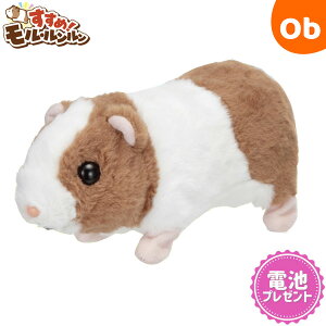 y12/4@20`@Xő|Cg21{@vGg[zC ߁IEy@Eꕔnz@NX}XNX}X