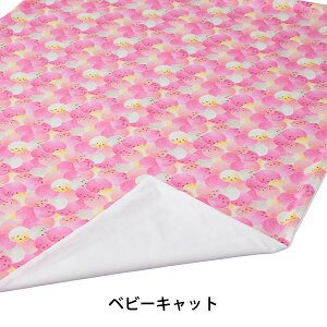 y11/20@20`@Xő|Cg21{@vGg[zQzc ~Jo[it@Xi[^Cvj QӂƂpp ct ۈ牀 tWLy Eꕔnz