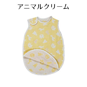 y12/4@20`@Xő|Cg21{@vGg[z6dDX[p[ S tWL Ԃ xr[ K[[f tėp y Eꕔnz@NX}XNX}X