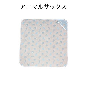 6dDK[[ tWL Ԃ xr[ K[[f t V y Eꕔnz@NX}X