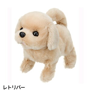 y12/4@20`@Xő|Cg21{@vGg[zC@ɂڂ V[Y y@Eꕔnz@NX}XNX}X