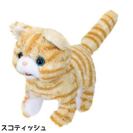 イワヤ　いっしょにあそぼう あかちゃんシリーズ ネコちゃん【送料無料　沖縄・一部地域を除く】　クリスマス