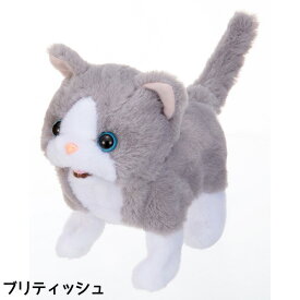 イワヤ　いっしょにあそぼう あかちゃんシリーズ ネコちゃん【送料無料　沖縄・一部地域を除く】　クリスマスクリスマス