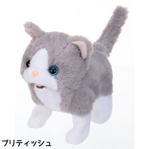 y12/4@20`@Xő|Cg21{@vGg[zC@ɂڂ V[Y lRy@Eꕔnz@NX}XNX}X