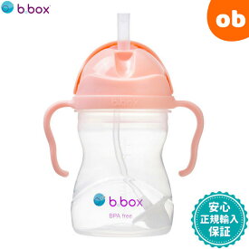 ビーボックス シッピーカップ トゥッティフルッティ b.box bbox Sippy cup ストローボトル 子供用【送料無料 沖縄・一部地域を除く】