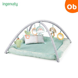 ingenuity(インジェニュイティ) カームスプリングス・ふわふわプレイジム ベビージム 赤ちゃん 出産祝い【送料無料 沖縄・一部地域を除く】