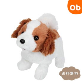 イワヤ ピッコリーネ コイケル 【ぬいぐるみ ネコちゃん 電動 おもちゃ ペット】動くぬいぐるみ 犬のぬいぐるみ コーイケルホンディエ 子犬　クリスマス