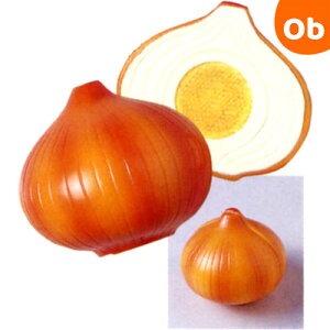 Ă ܂˂ [ p[eBNC[V[Y ܂܂ H  ₳