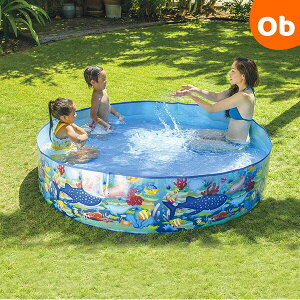 y12/4@20`@Xő|Cg21{@vGg[zK[fv[180cm JILOng W[ xr[v[ rj[v[ ^ 傫y Eꕔnz@NX}XNX