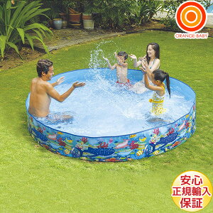 y12/4@20`@Xő|Cg21{@vGg[zK[fv[240cm JILOng W[ xr[v[ rj[v[ ^ 傫y Eꕔnz@NX}XNX