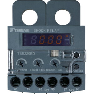 �֖{�`�G�C�� �V���b�N�����[ ED�V���[�Y TSB075ED �y207-2716�z