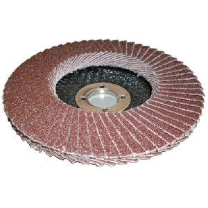AC PGA�|X �t���b�v�f�B�X�N A PGAX10015-A-80 �y�����F10�z �y351-7888�z