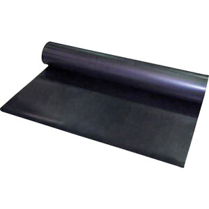 WAKI 񉘐ES  1X1000X5M EP-5065-PO-1-5 y359-9345z
