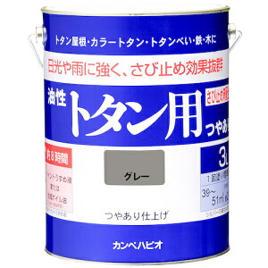 KANSAI Jy g^p3LO[ 00147645091030 y361-0713z