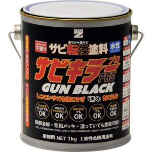 BAN�[ZI �K�]���h�� �T�r�L���[�v���K���u���b�N 1kg �K�����^ A-SKPG/K01B �y369-8544�z