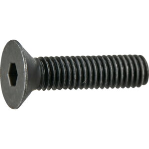 TRUSCO �Z�p���t�M�{���g ������ �S�˂� M5×25 10�{�� ���ʃp�b�N Y808-0525 �y379-7939�z