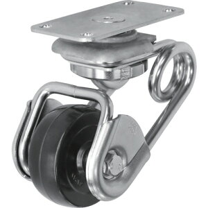 VVN ɏՃLX^[5  50a RS SAJ-TS6-50R y441-3954z