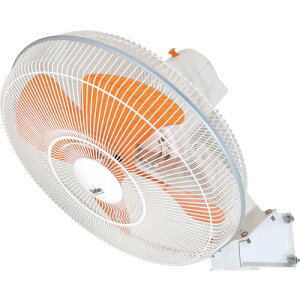 yX[p[SALEN[|zXCf H ^@ Ǌ| @ 啗 A~nl50cm Sh^ SF-50D2-3A y496-2818z