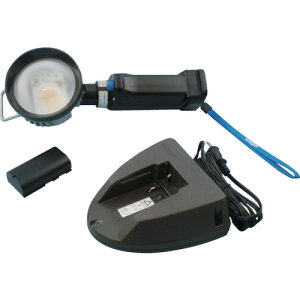 saga 12WLEDxR[hXCgZbg F [dt LB-LED12W-FL-RA y782-3975z